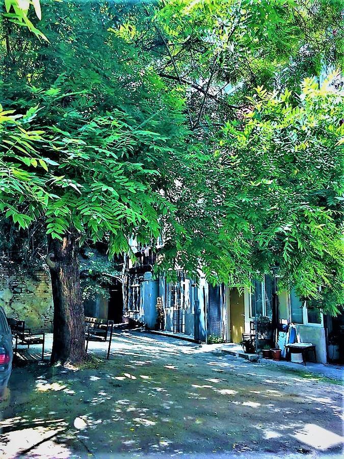 Very Center Of The Old City-Stylish Apartment 第比利斯 外观 照片